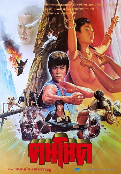 忍者大决斗 poster