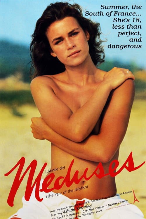 L'Année des méduses poster
