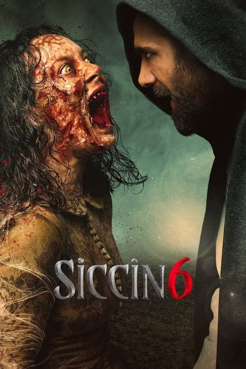 Siccîn 6 poster