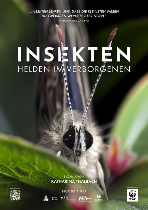 Insects – Hidden Heroes poster