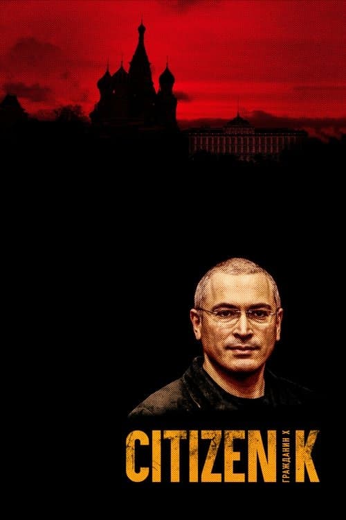Гражданин Х poster