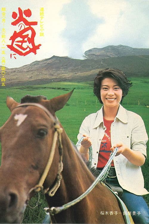 火の国に poster