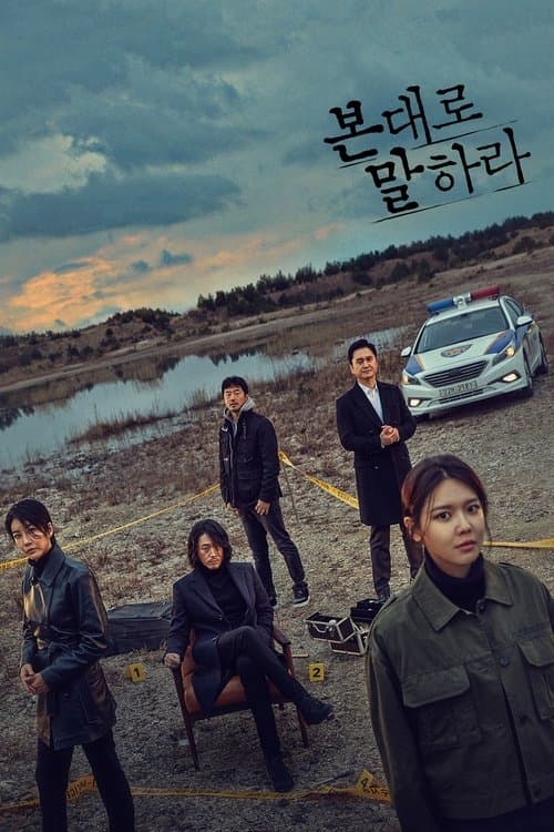 본 대로 말하라 poster