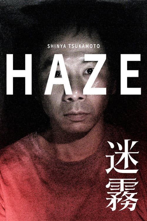 ヘイズ poster