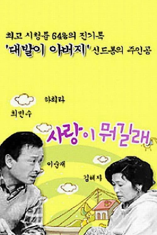 사랑이 뭐길래 poster