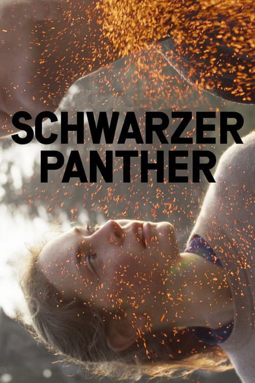 Schwarzer Panther poster