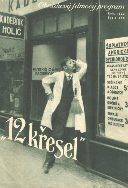 Dvanáct křesel poster