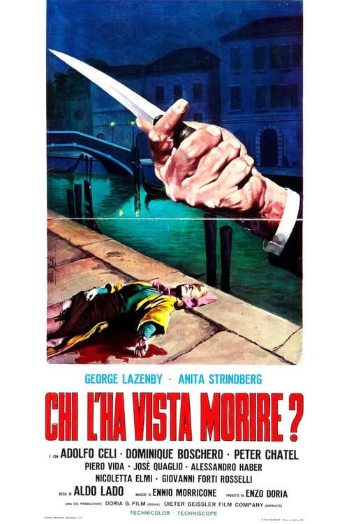 Chi l'ha vista morire? poster