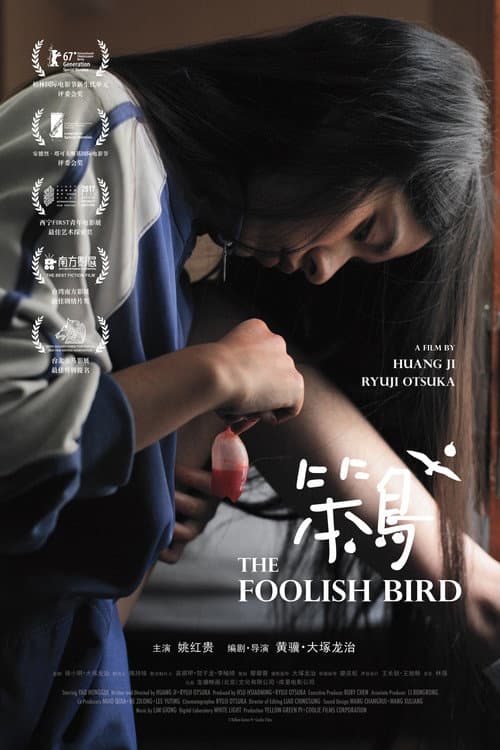 笨鳥 poster