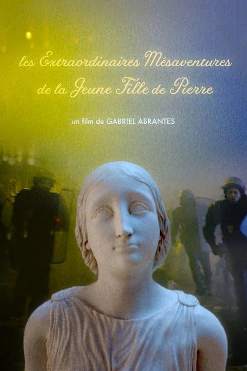 The Marvelous Misadventures of the Stone Lady poster
