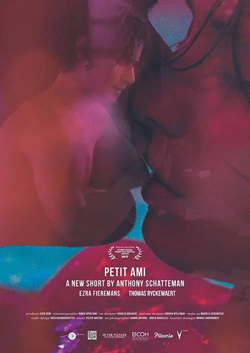 Petit ami poster