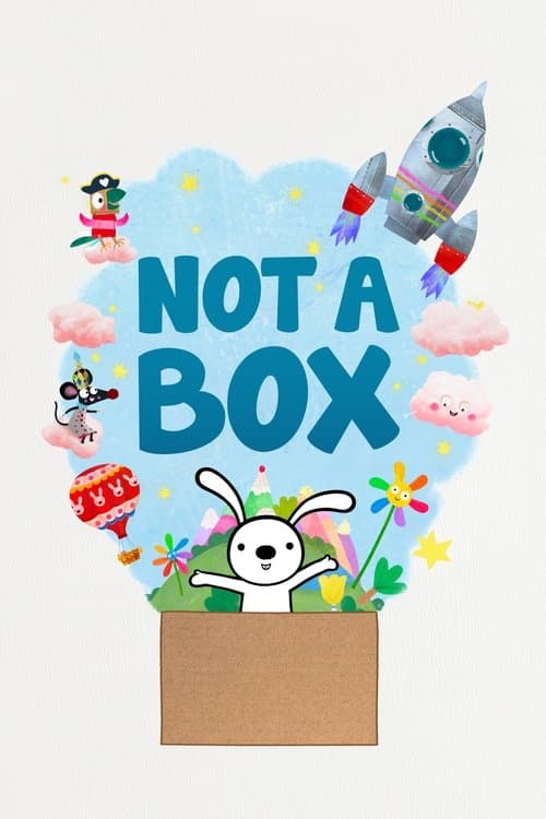 Not a Box poster