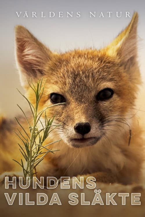 Hundens vilda släkte poster