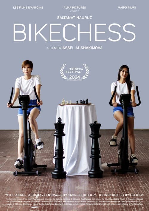 Велошах poster