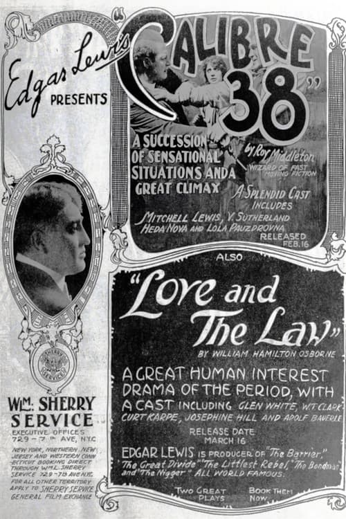 Calibre 38 poster