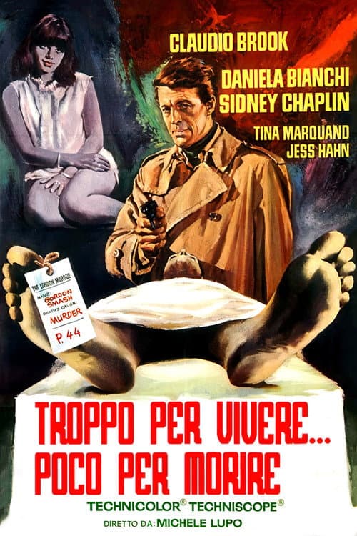 Troppo per vivere... poco per morire poster