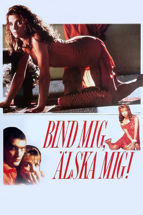 Bind mig, älska mig! poster