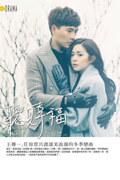 Someone Like You poster