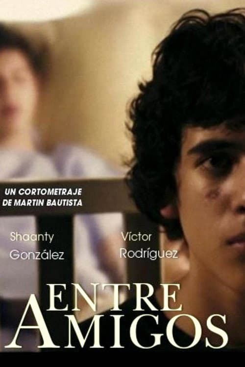 Entre amigos poster
