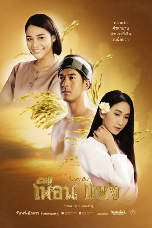เพื่อนแพง poster