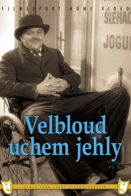 Velbloud uchem jehly poster