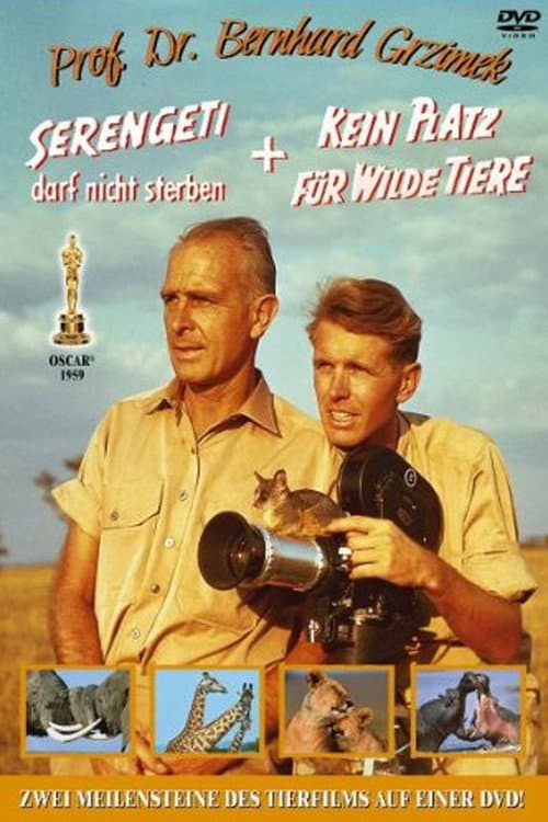 Serengeti darf nicht sterben poster
