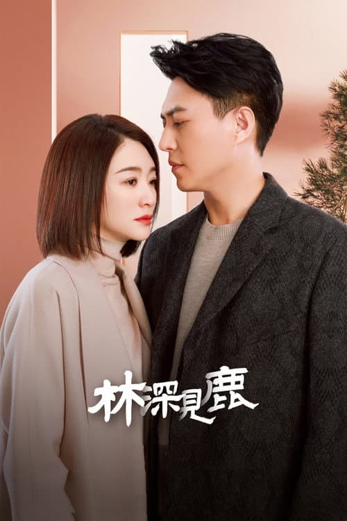 林深见鹿 poster