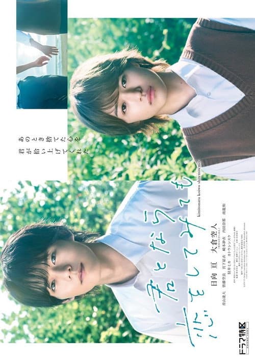 君となら恋をしてみても poster