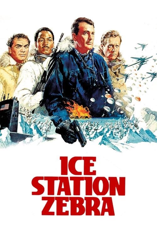Polarstation Zebra svarar ej poster