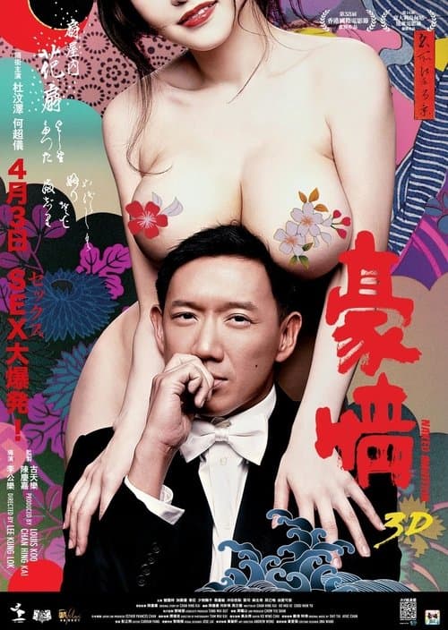 3D 豪情 poster