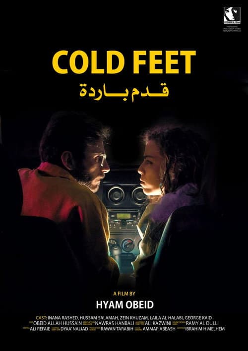 قدم باردة poster