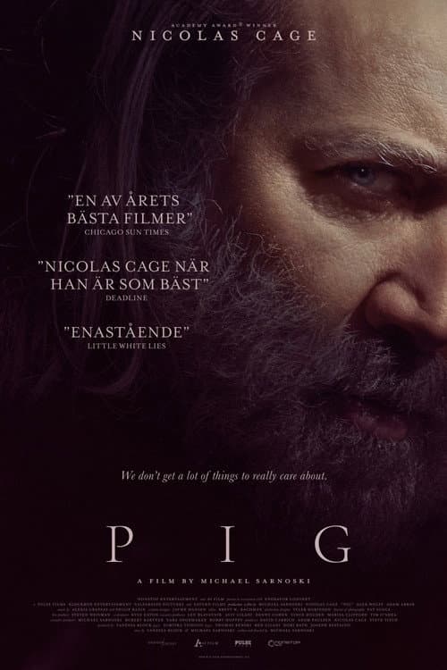 Pig poster
