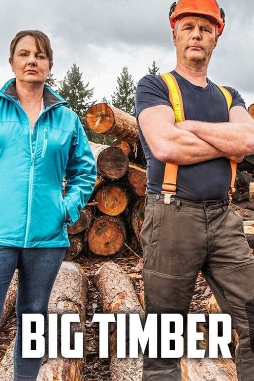 Tuffa timmerstockar poster