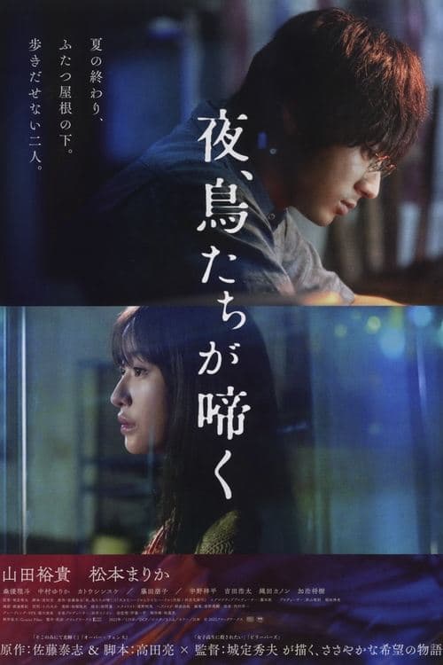 夜、鳥たちが啼く poster