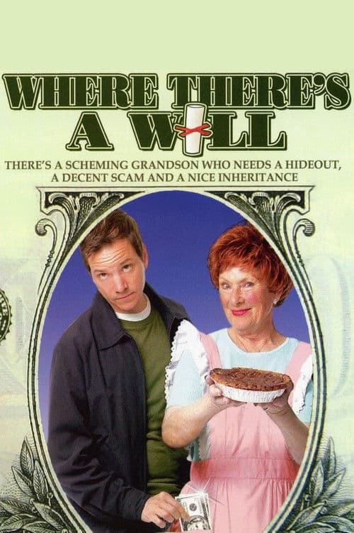 Where There's a Will poster