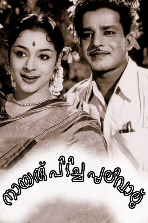നായരു പിടിച്ച പുലിവാല് poster