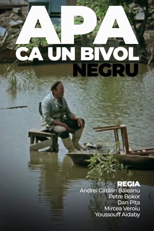 Apa ca un bivol negru poster