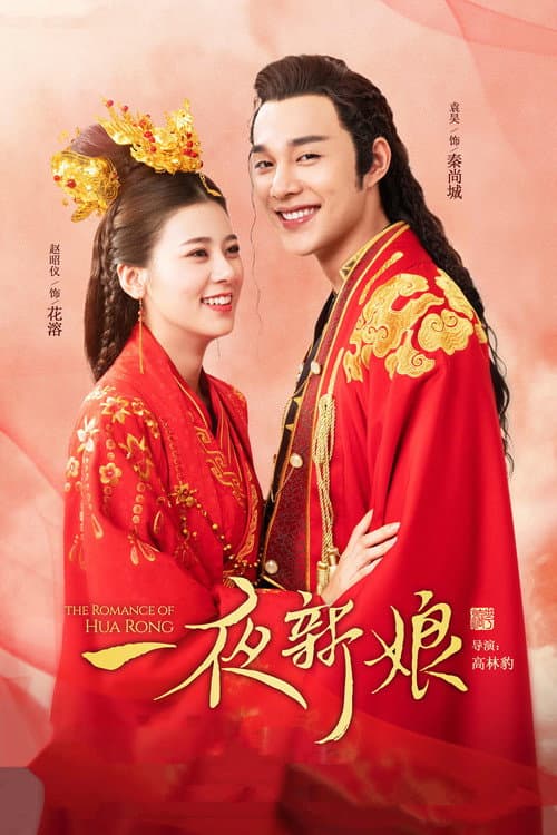 一夜新娘 poster