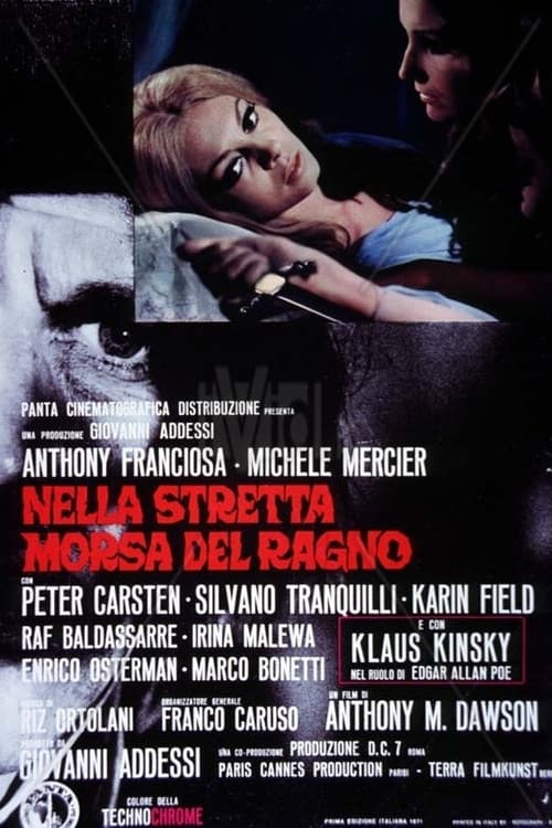 Nella stretta morsa del ragno poster