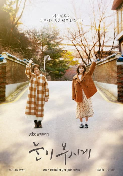 눈이 부시게 poster