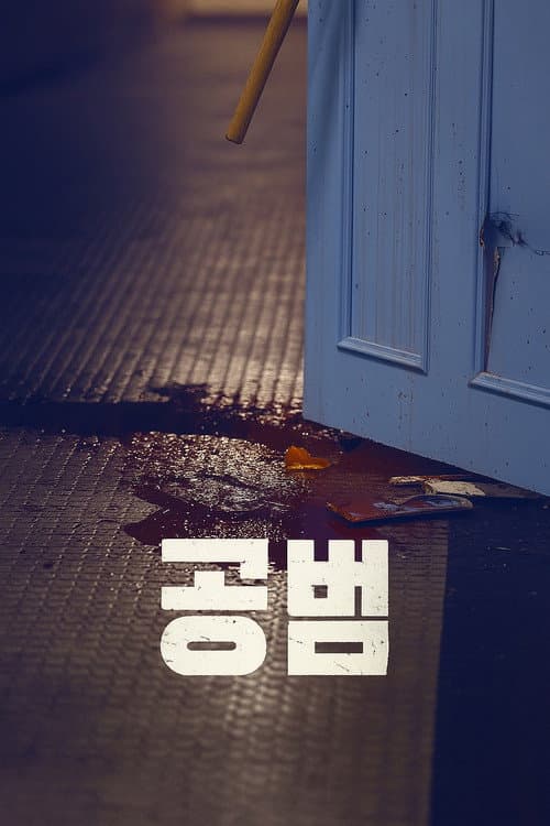 공범 poster