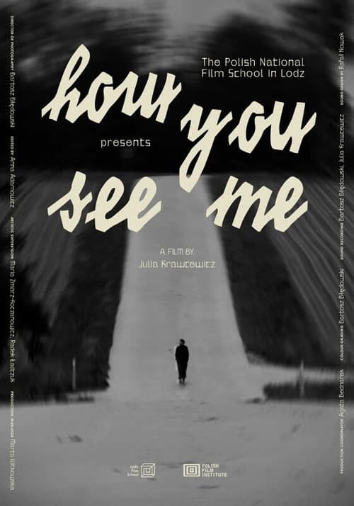How You See Me poster