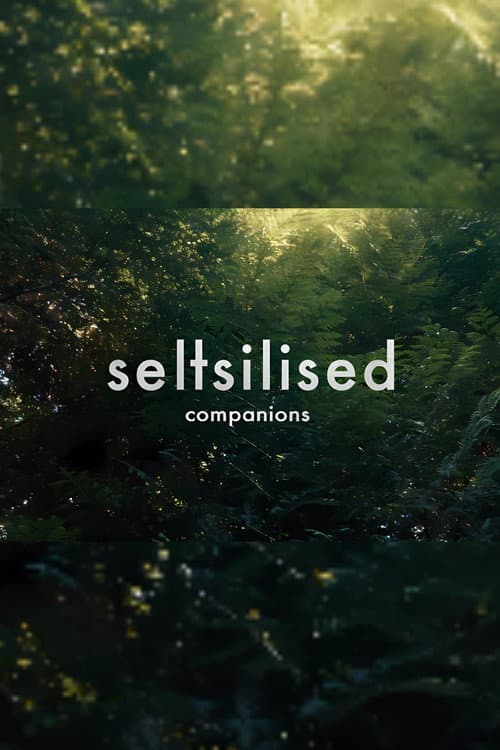 Seltsilised poster