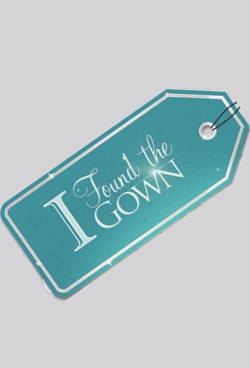 I Found The Gown poster