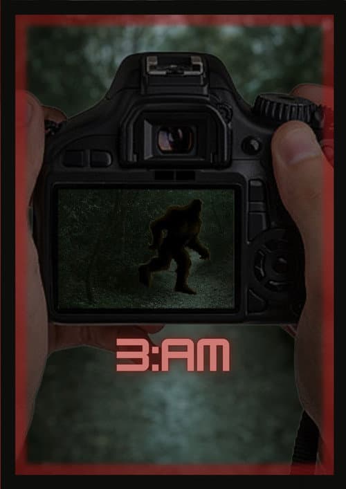3:AM poster