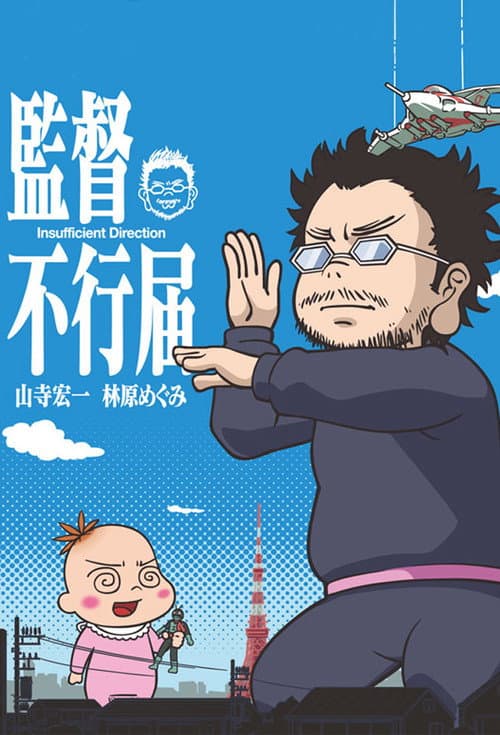Insufficient Direction poster