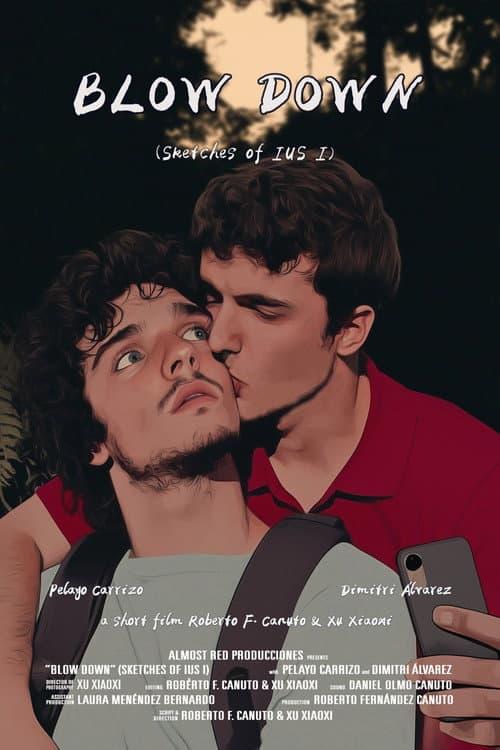 Blow Down poster