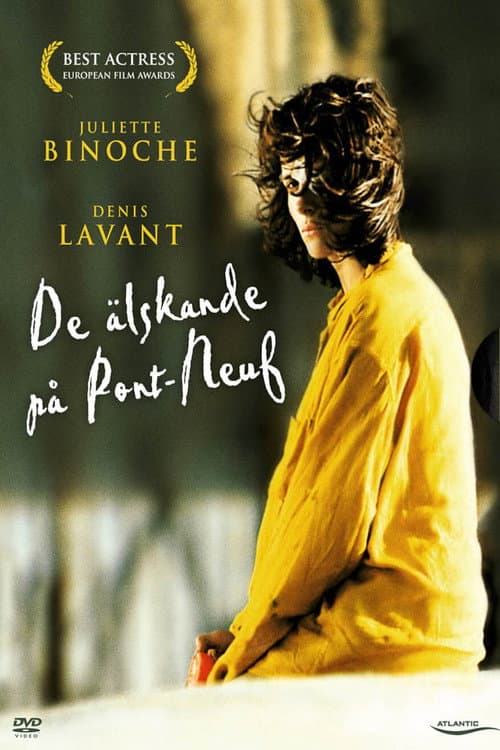 De älskande på Pont-Neuf poster