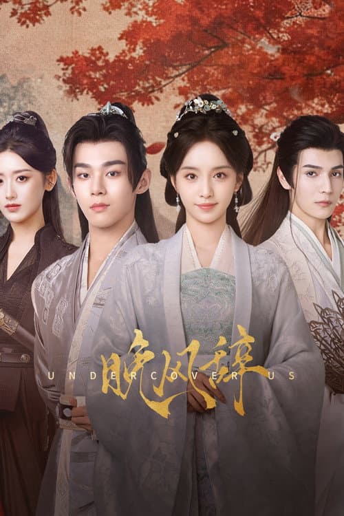 晚风辞 poster