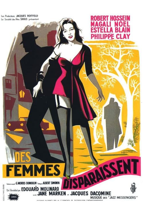 Des femmes disparaissent poster